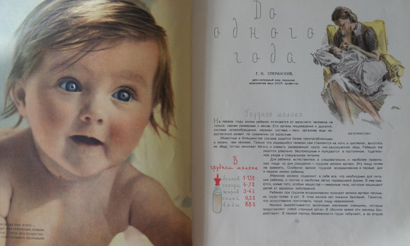 Рубрика «Находка»: Пудинг из мозгов или детское питание 57 лет назад