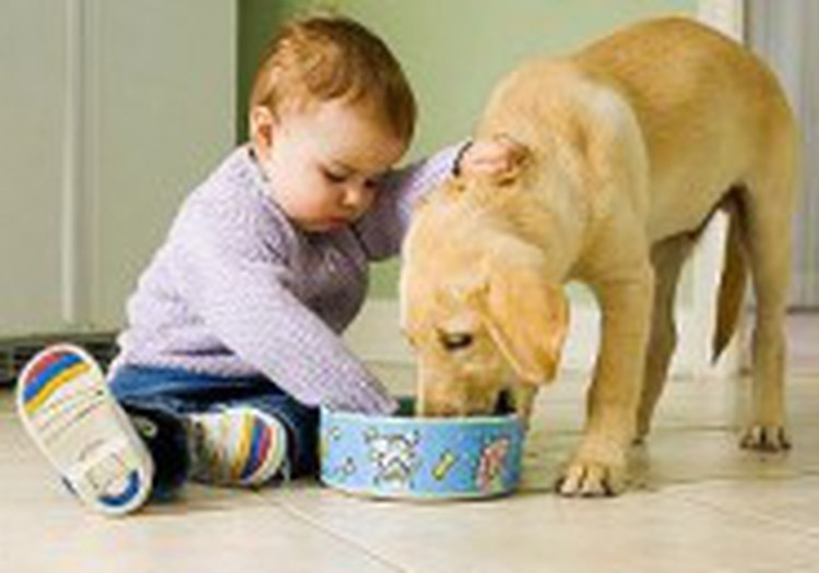 Объясняем, почему собака лучший друг человека