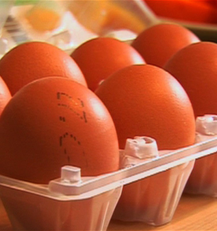 С какого возраста вводить в рацион яйца