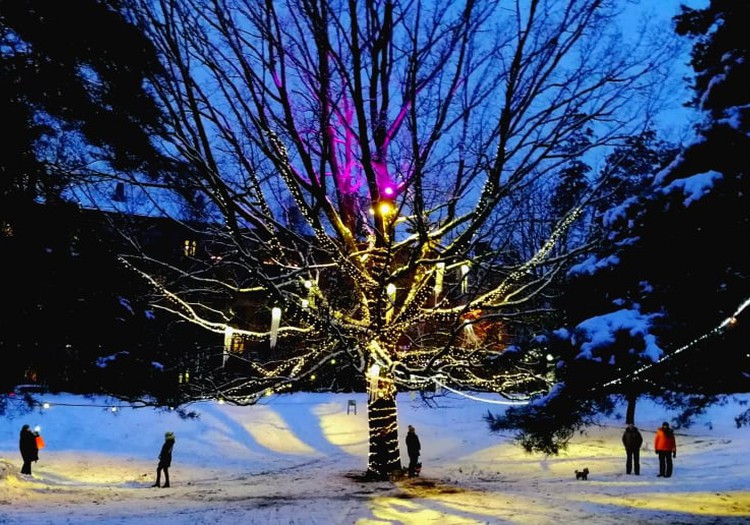 Зимние бродилки: Рижские световые инсталляции – мой рейтинг