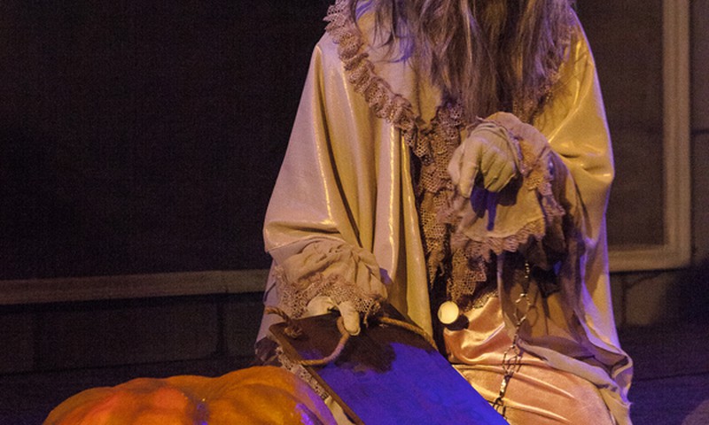 В эти выходные сделайте селфи на фоне плаката "Кентервильское привидение" в кассе Кукольного театра и выиграйте!